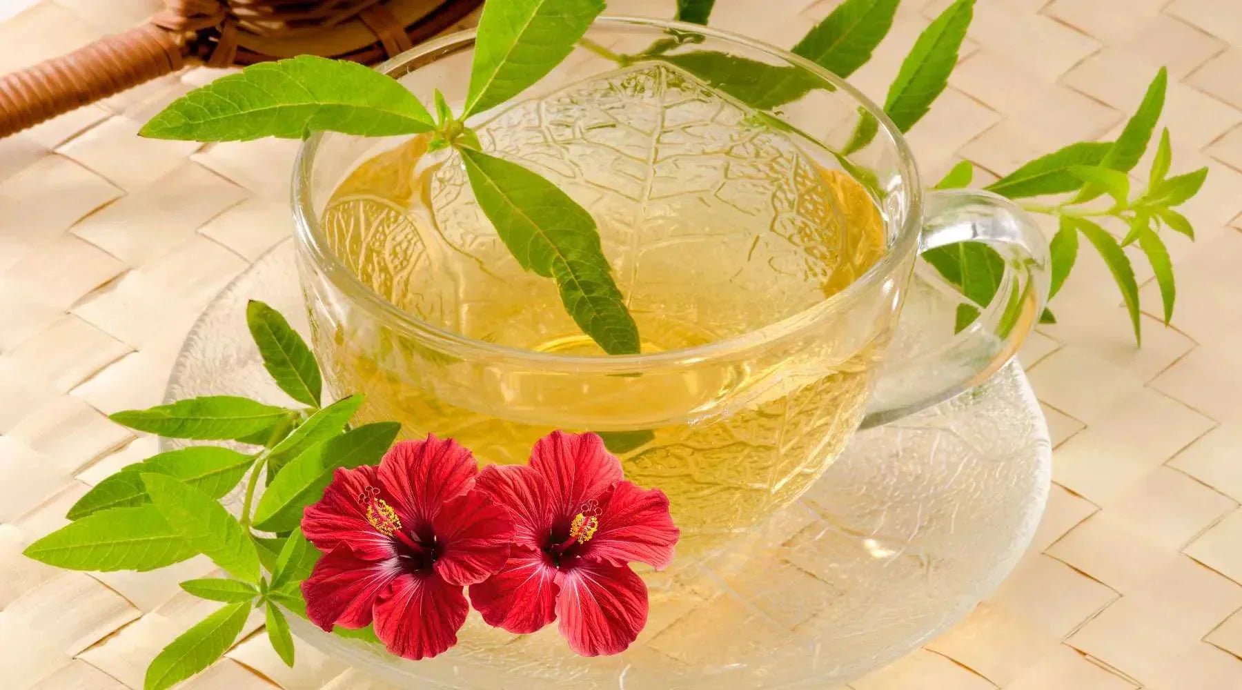 Metabolaid Explained: How This Plant Extract Supports Metabolism