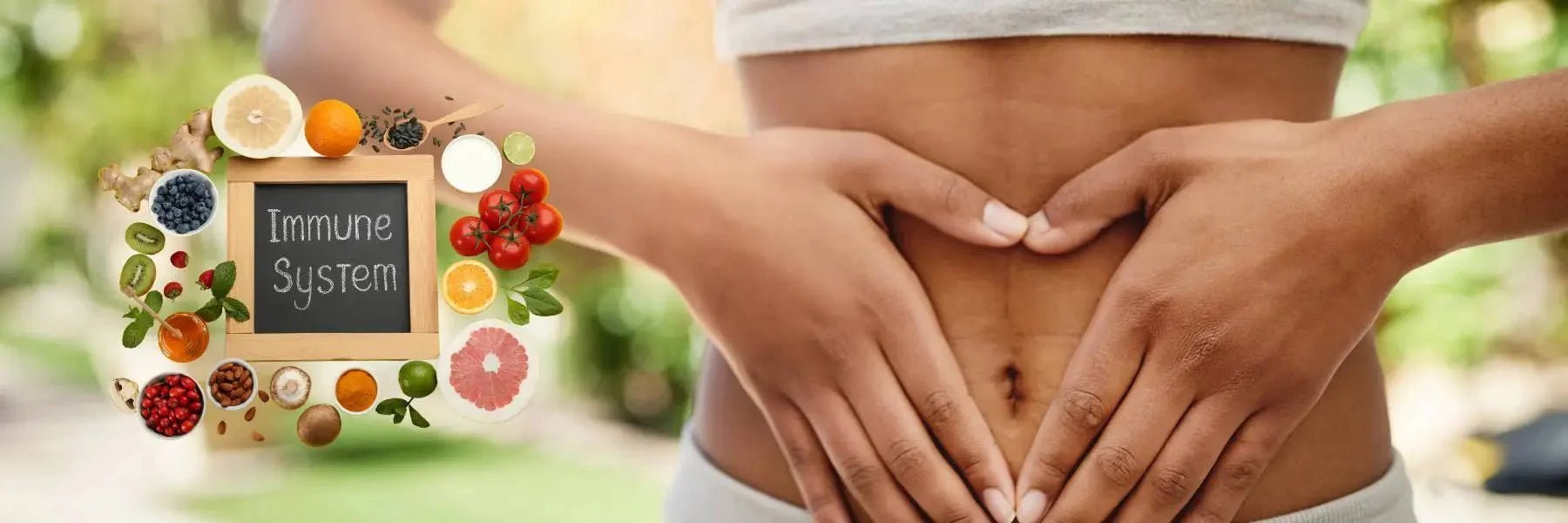 The Connection Between Gut Health and Immune Function