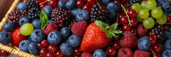 The Role of Polyphenols in Metabolic Health - Fit Lab Nutrition