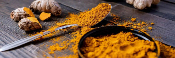 Turmeric Root: Why It's Used for Gut and Inflammation Support - Fit Lab Nutrition