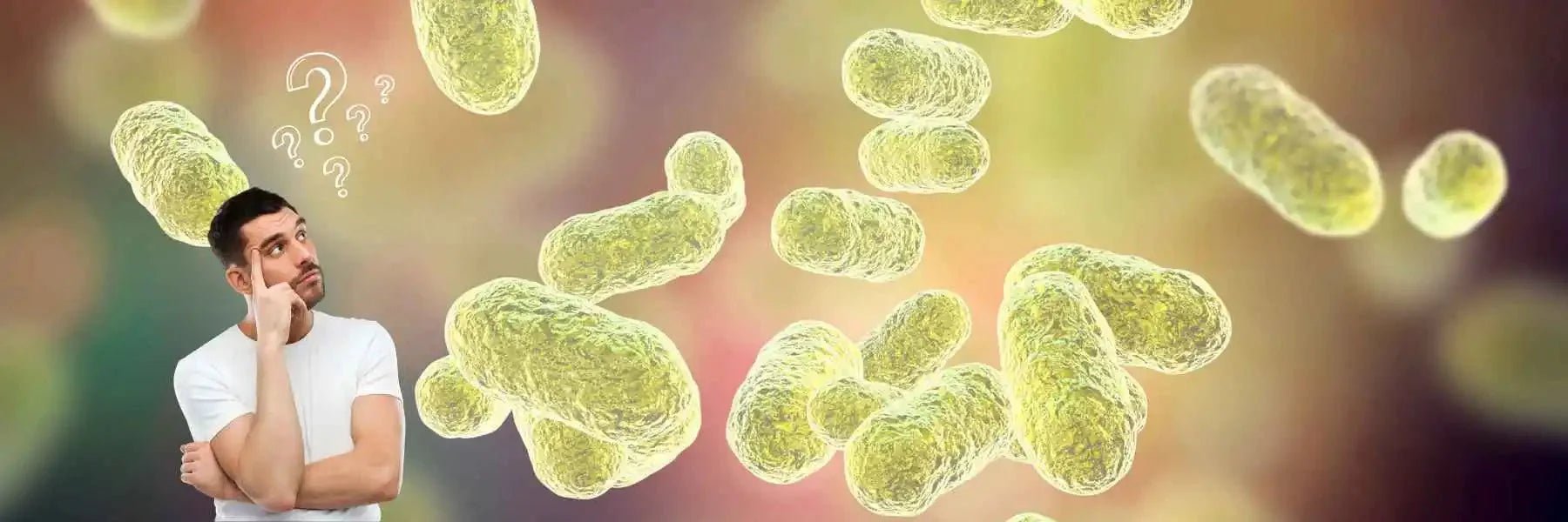 What Is the Gut Microbiome and Why Does It Matter?