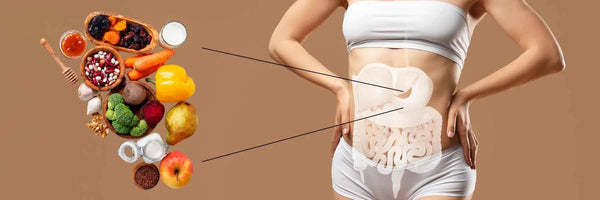Why Gut Bacteria Diversity Matters - Fit Lab Nutrition