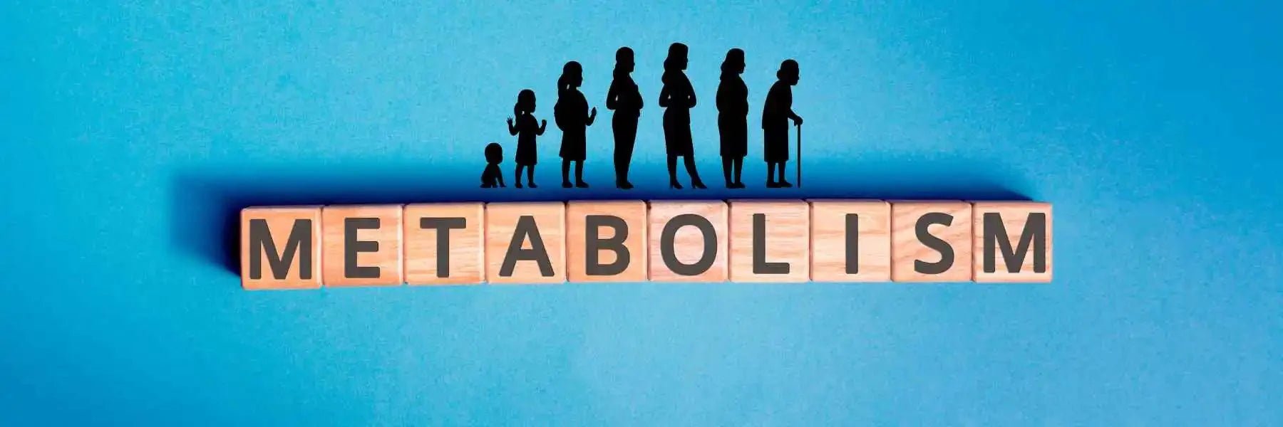 Why Your Metabolism Slows Down as You Age