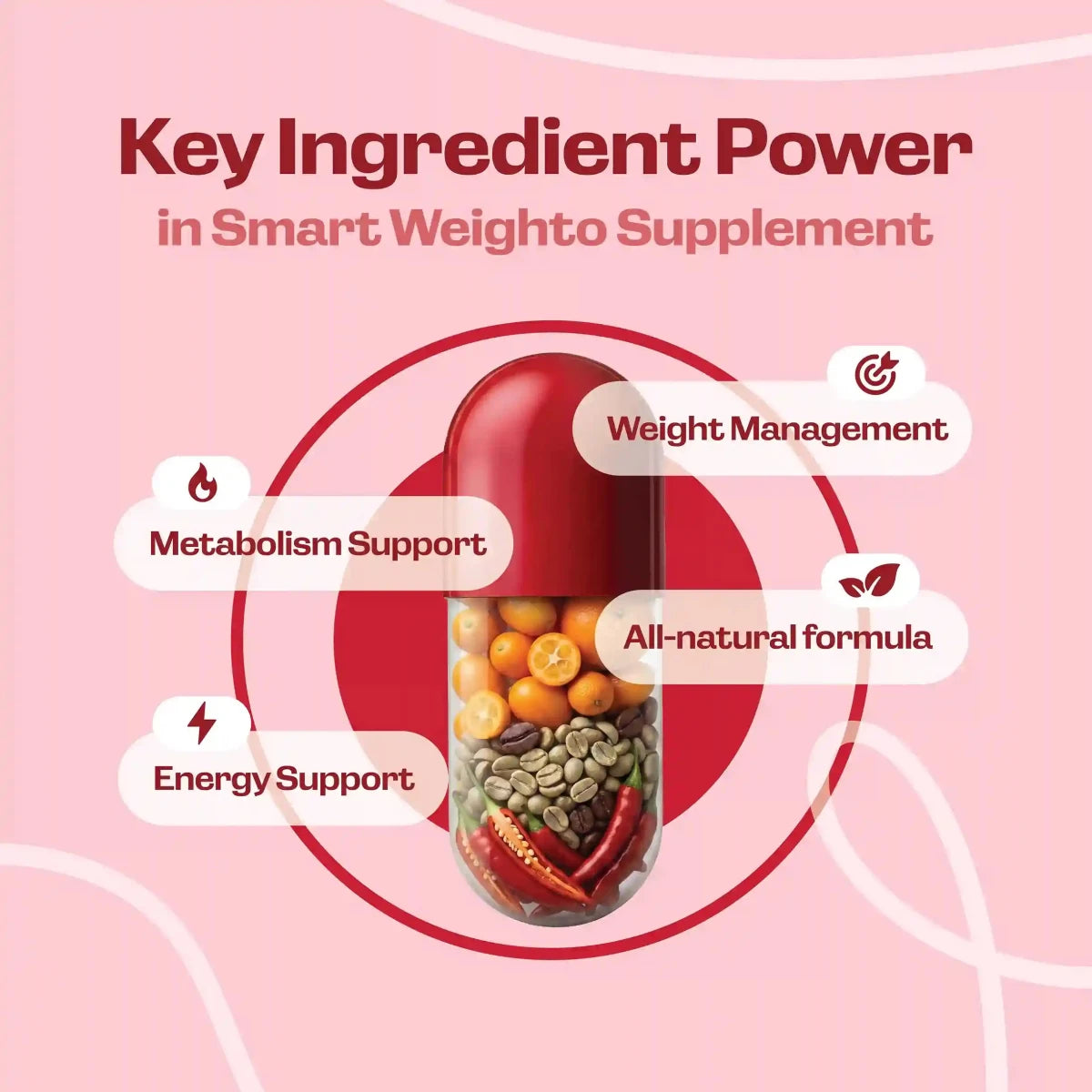 Smart Weighto - Fit Lab Nutrition