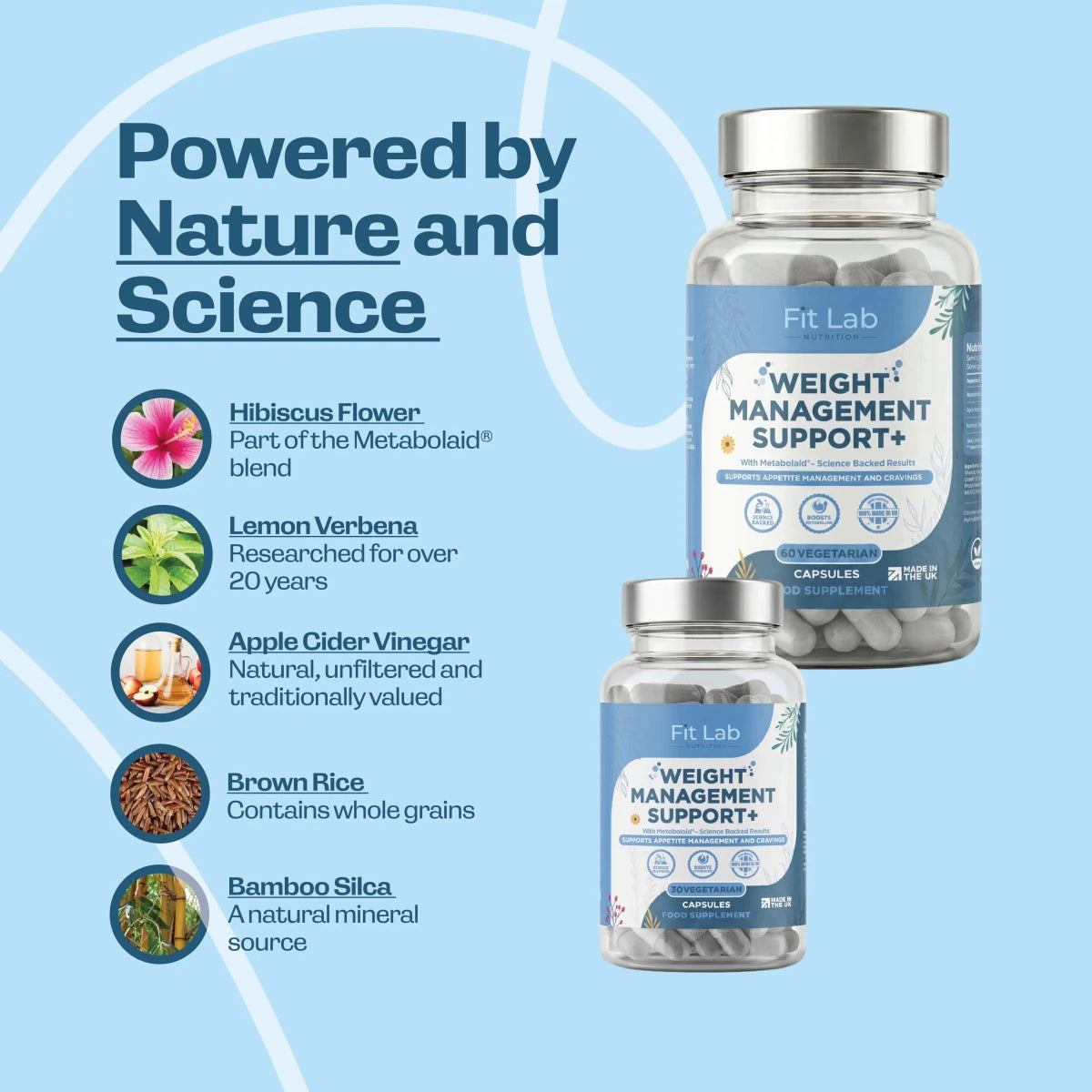 Weight Management Support Plus - Fit Lab Nutrition