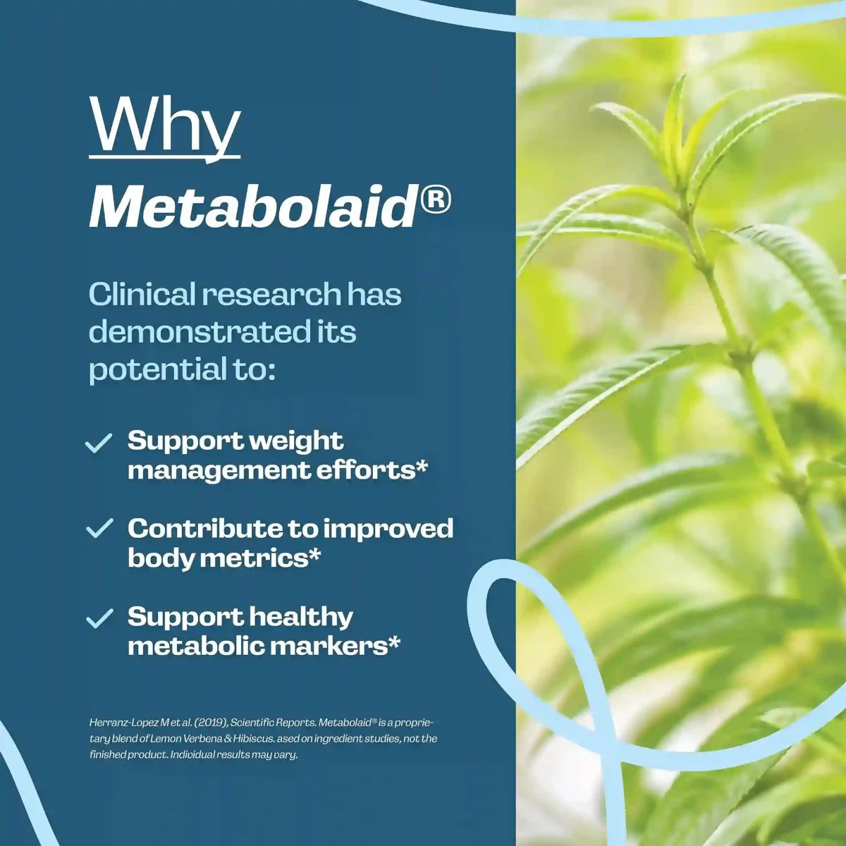 Why Metabolaid - Fit Lab Nutrition